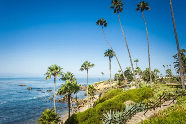 Flora tropical en Laguna Beach — Foto de Stock