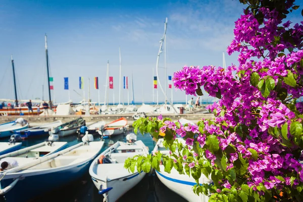 Belle journée ensoleillée à Bardolino près du lac de Garde — Photo