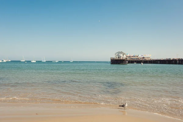 カモメとサンタ ・ バーバラの有名なスターンズ ワーフの桟橋 — ストック写真