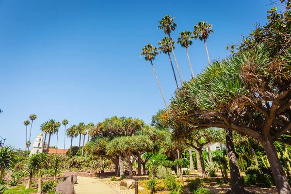 Parque de cactus en Beverly Gardens — Foto de Stock