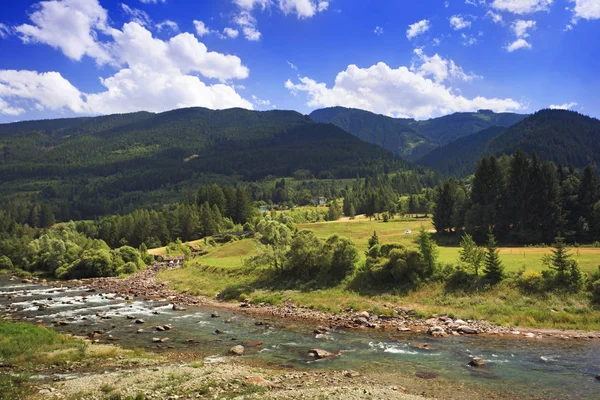 Мирное альпийское плато с елками, голубым небом и рекой — стоковое фото