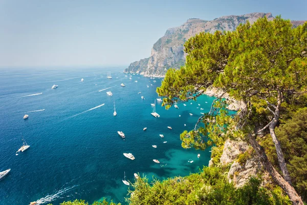 Hermosa vista sobre el puerto de Capri — Foto de Stock