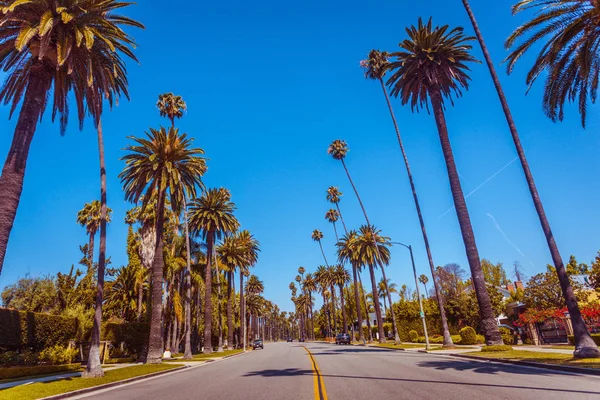 Vintage tonificado famosas palmeras de Beverly Hills a lo largo de la calle en —  Fotos de Stock