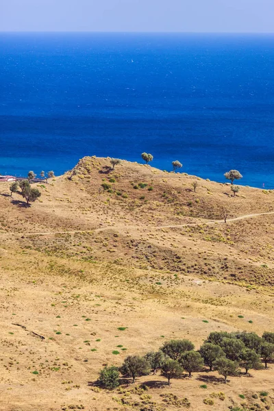 Zeytin tr ile Calabria tipik minimalist kuru ıssız görünümü — Stok fotoğraf