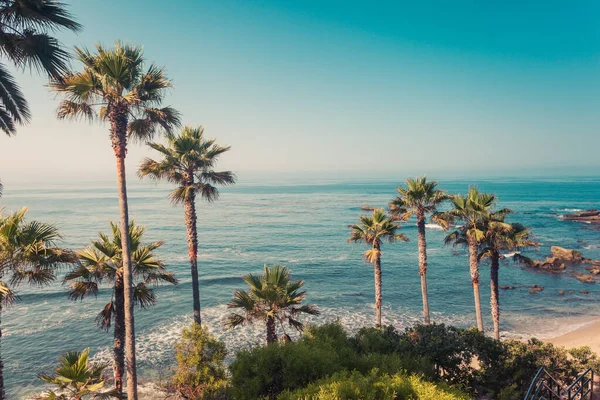 カリフォルニア州オレンジ郡ラグナビーチの海岸にヤシ — ストック写真