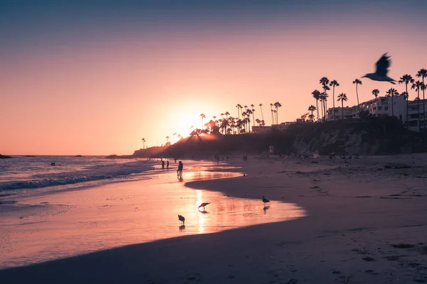 美しい紫色の夕日の光でラグナビーチ カリフォルニア州 — ストック写真