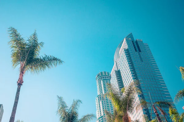 Los Angeles Centrum Skyscrapper Palm Met Kopieerruimte Met Typische Cali — Stockfoto