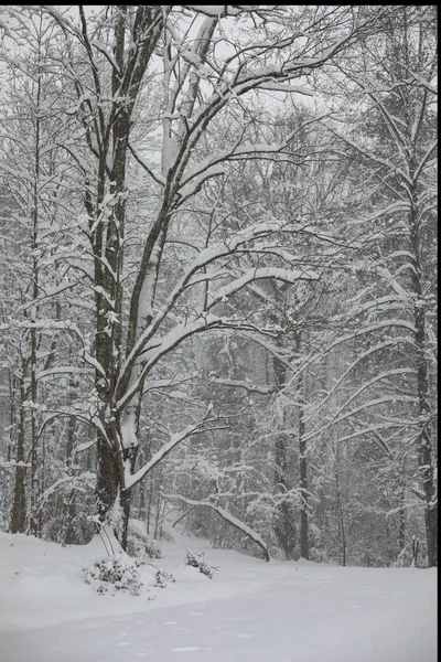 Winter Storm Diego Left Inches Powdery Snow Rural Western North — Stock Photo, Image