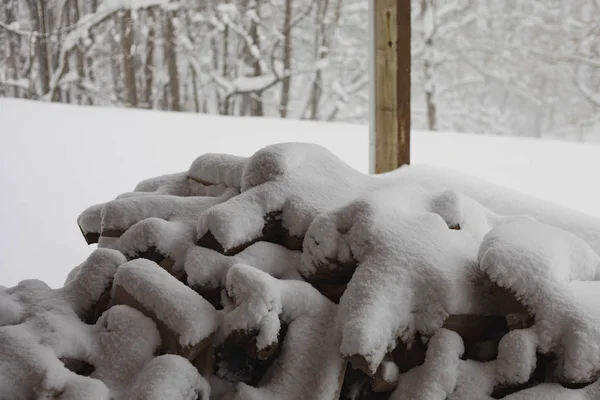 木杭が次の冬の嵐サンディエゴ雪で覆われています — ストック写真