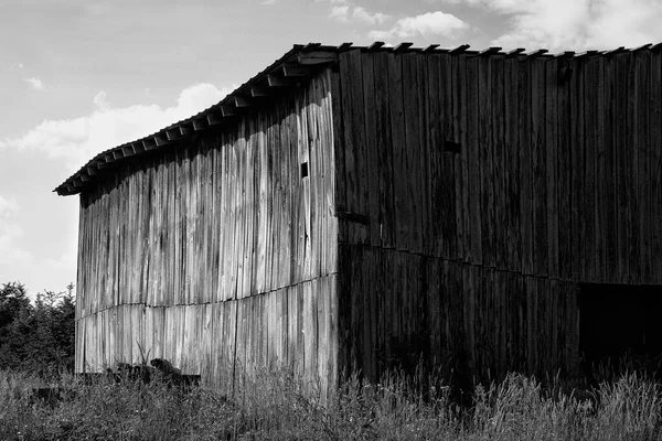 Vista Monocromática Del Antiguo Granero Madera Antigua Granja Árboles Navidad — Foto de Stock