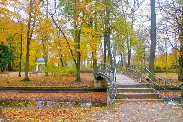 秋の公園の運河にかかる古い橋が葉で覆われています。 — ストック写真