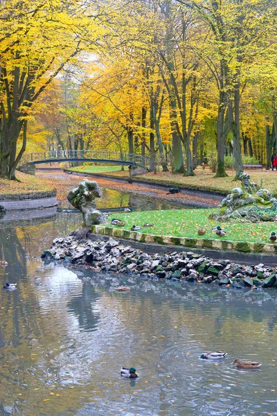 Foto Fue Tomada Parque Otoño Ciudad Alemana Bayreuth Imagen Muestra — Foto de Stock