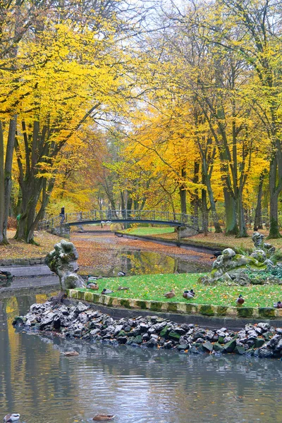ドイツ バイロイト市の秋の公園で撮影 写真は 黄色い葉が付いている木に囲まれた美しい池を示しています 池の真ん中には彫像と島 — ストック写真