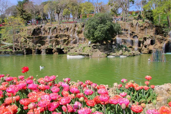 Tulip Festival i Istanbul Park. — Stockfoto