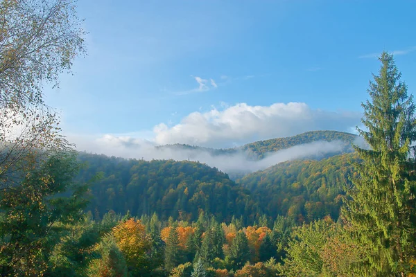 Sonniger Morgen in den Bergen, die vom herbstlichen Wald bedeckt sind. — Stockfoto