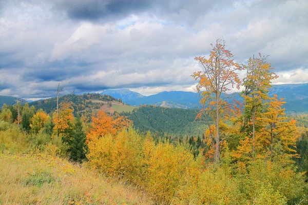 Herbstwald in den Karpaten. — Stockfoto
