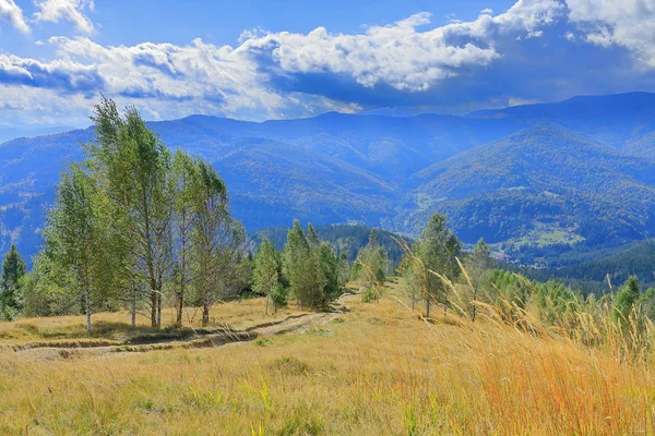 Herbstlandschaft in den malerischen Karpaten. — Stockfoto