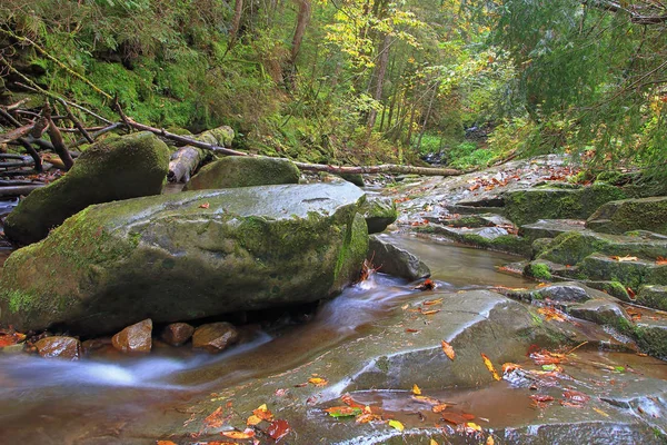 Flusso con acqua limpida che scorre dalle montagne in autunno — Foto Stock