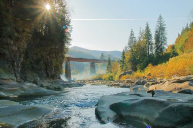 Sonbahar güneşli bir günde temiz dağ nehri.