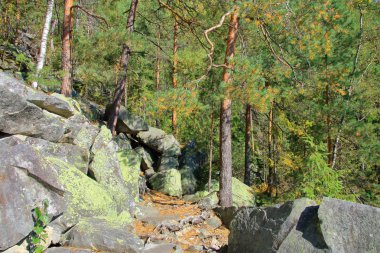 Ormanlarla kaplanmış uçurumlar arasında zorlu bir yol..