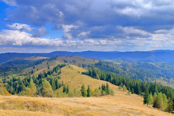 Ścieżka przez jesienne góry Karpat. Zdjęcie Stockowe