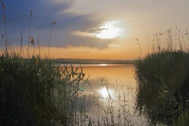 Fotoğraf Ukrayna 'da çekildi. Fotoğraf, sazlıklarla kaplı sessiz bir gölde sıcak bir akşamı gösteriyor..