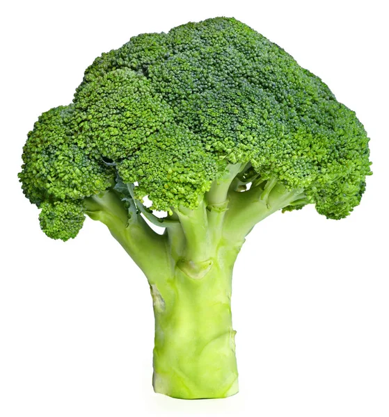 Verse Groene Broccoli Geïsoleerd Een Witte Achtergrond Rijp Fruit Gezond — Stockfoto