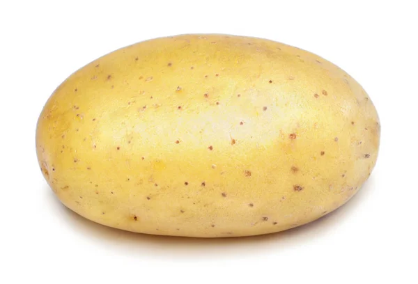 Картопля Ізольована Білому Тлі Свіжа Сира Картопля Студійний Знімок Приготування — стокове фото