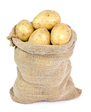 Bir çuvala taze çiğ patates. Madde yemek beyaz arka plan üzerinde izole tutuyordu, dünyevi patates sahne.