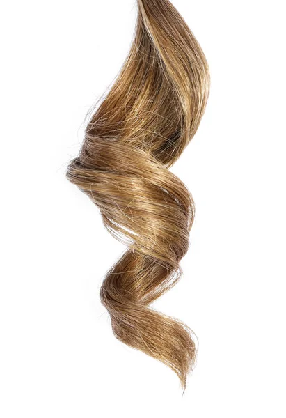 Cabelo Morena Bonita Isolado Fundo Branco Cauda Cabelo Marrom Longo — Fotografia de Stock