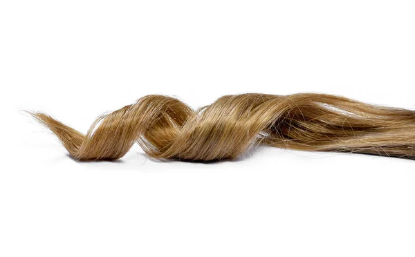 Beaux Cheveux Bruns Isolés Sur Fond Blanc Longue Queue Cheveux — Photo