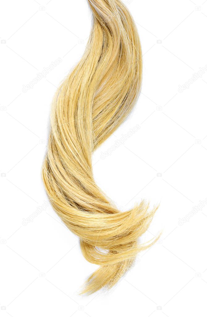 Beautiful blond hair, isolated on white background. Long blonde hair tail, healthy hair, design element or hair cut theme.