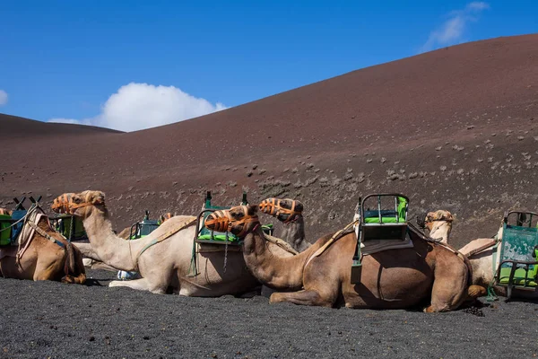 Lanzarote adasında Timanfaya parkı — Stok fotoğraf