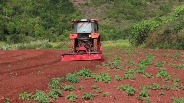 Ein Traktor Bereitet Land Vor — Stockvideo