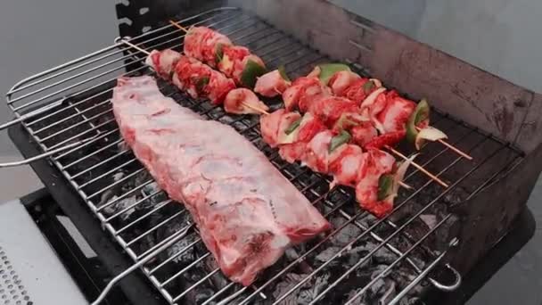 Preparação Carne Churrasqueira — Vídeo de Stock