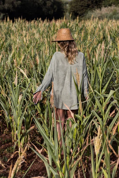 Young Blonde Woman Walking Summer Corn Field — Stock Photo, Image