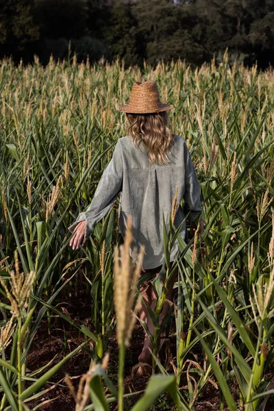 Junge Blonde Frau Geht Einem Sommerlichen Maisfeld — Stockfoto