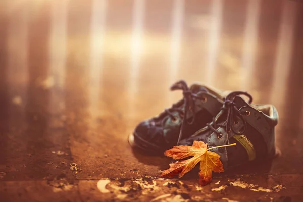 Baby Boots Puddle Closeup Photo Kids Footwear Old Dry Maple — Stock Photo, Image