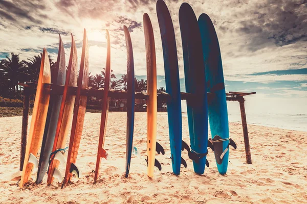 Tablas Surf Muchas Tablas Surf Diferentes Playa Deporte Acuático Felices — Foto de Stock