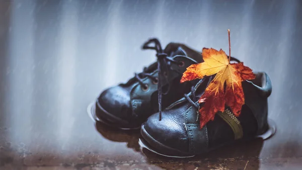 Foto Primer Plano Unas Pequeñas Botas Bebé Charco Con Hoja —  Fotos de Stock