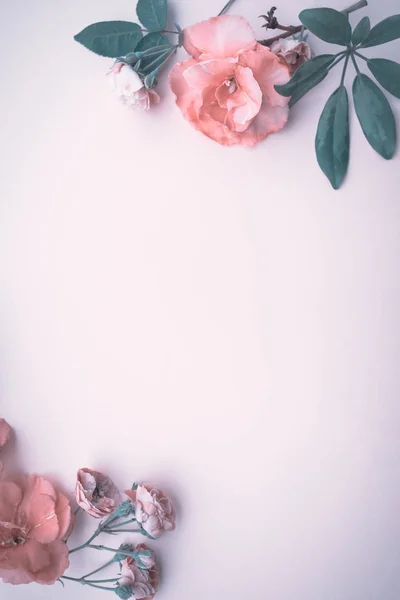 コピー スペース スタイリッシュなビンテージ結婚式 Invitatio ピンクの背景の優しいピンクのバラ枠を持つ美しい花の背景 — ストック写真