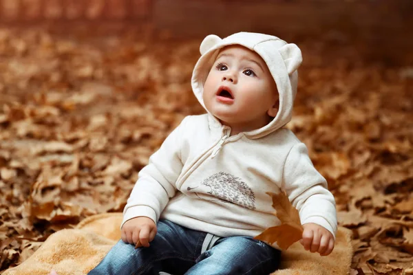 一个可爱的小好奇的男孩的肖像坐在地上的毯子上覆盖着干燥的树叶和奇迹仰望 享受秋天自然的美丽 — 图库照片