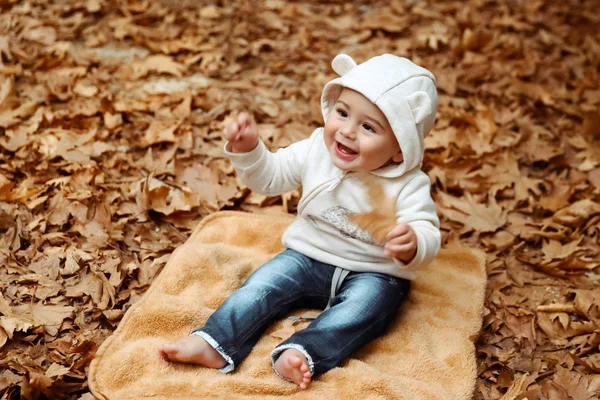 Cheerful Boy Pleasure Spending Time Autumn Park Little Baby Sitting — Stock Photo, Image