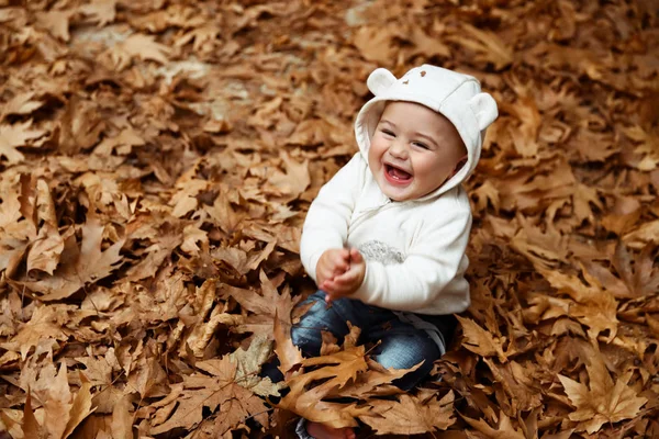 Lindo Niño Sentado Pila Hojas Árboles Secos Riendo Disfrutando Belleza —  Fotos de Stock