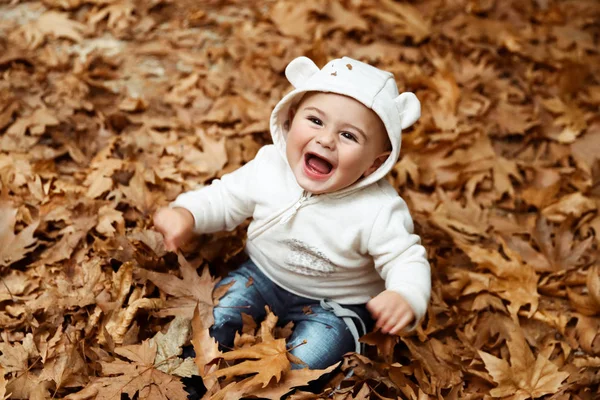 Menino Bonito Sentado Pilha Folhas Árvore Seca Rindo Desfrutando Beleza — Fotografia de Stock