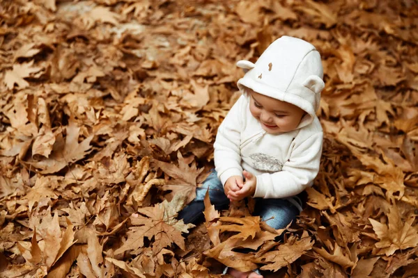 Bonito Menino Sentado Chão Floresta Com Prazer Brincando Com Folhas — Fotografia de Stock