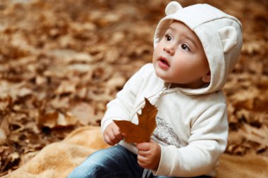 Tatlı bebek sonbahar ormandaki kuru ağaç üzerinde oturan sevimli küçük çocuk park, sonbahar tatil, mutlu kaygısız childhoo tadını bırakır