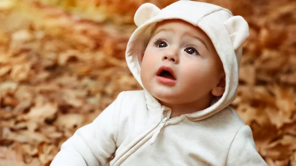 Портрет Милого Маленького Любопытного Мальчика Сидящего Земле Покрытой Сухими Листьями — стоковое фото