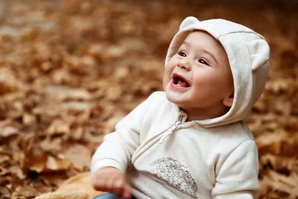 Retrato Bebê Sorridente Alegre Divertindo Floresta Outono Sentado Folhagem Árvore — Fotografia de Stock