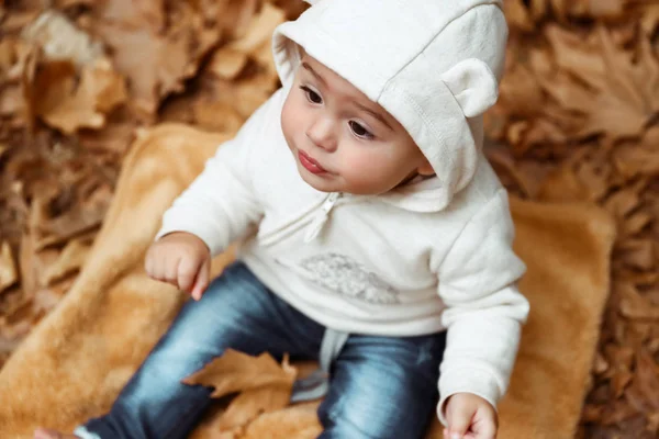 Tatlı Bebek Sonbahar Ormandaki Kuru Ağaç Üzerinde Oturan Sevimli Küçük — Stok fotoğraf